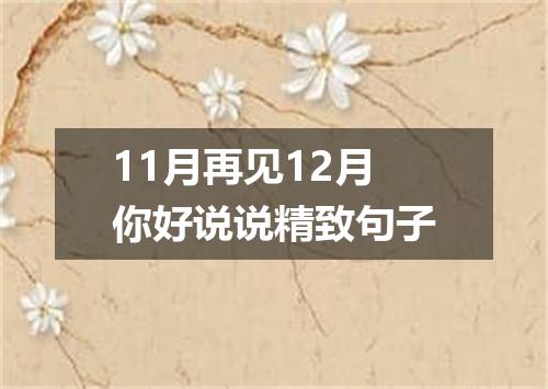 11月再见12月你好说说精致句子