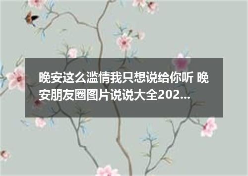 晚安这么滥情我只想说给你听 晚安朋友圈图片说说大全2022最新版