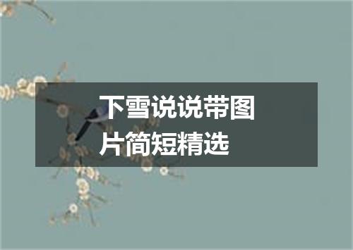 下雪说说带图片简短精选