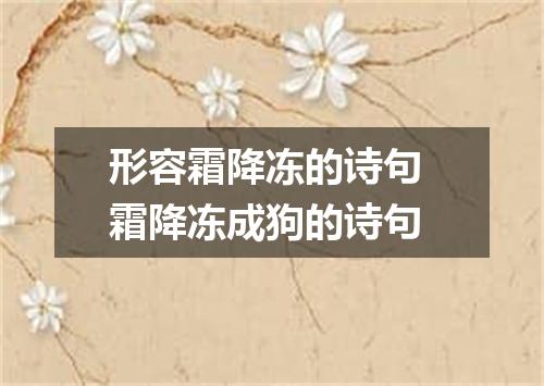 形容霜降冻的诗句 霜降冻成狗的诗句