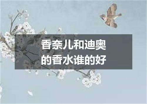 香奈儿和迪奥的香水谁的好