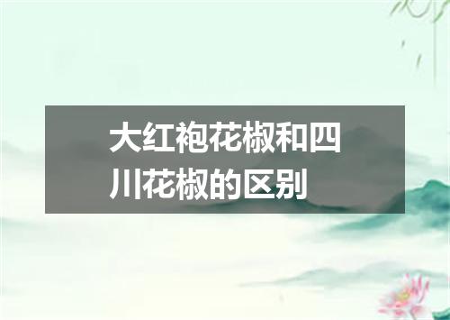大红袍花椒和四川花椒的区别