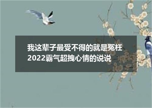 我这辈子最受不得的就是冤枉 2022霸气超拽心情的说说