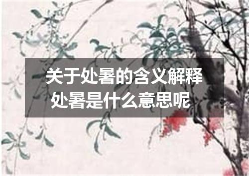 关于处暑的含义解释 处暑是什么意思呢