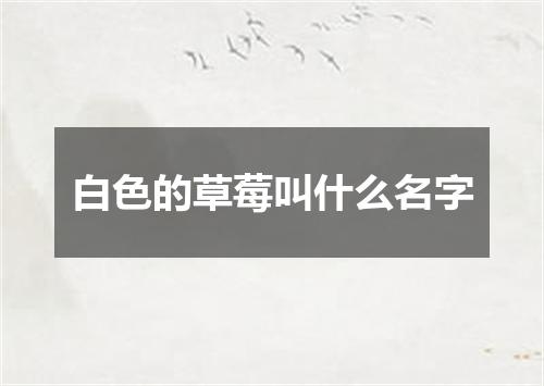 白色的草莓叫什么名字