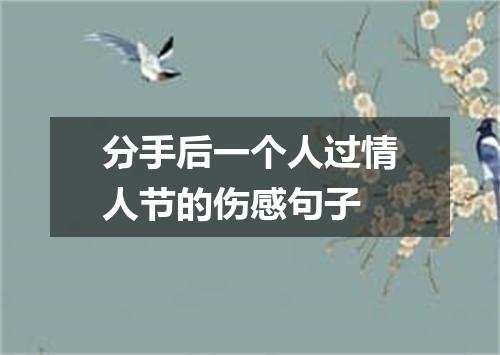 分手后一个人过情人节的伤感句子