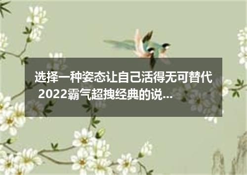 选择一种姿态让自己活得无可替代 2022霸气超拽经典的说说