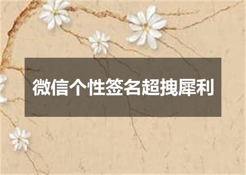 微信个性签名超拽犀利