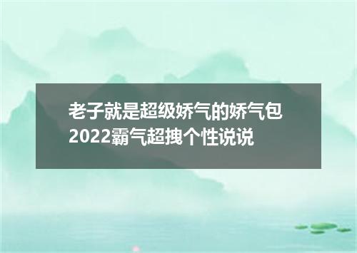 老子就是超级娇气的娇气包 2022霸气超拽个性说说