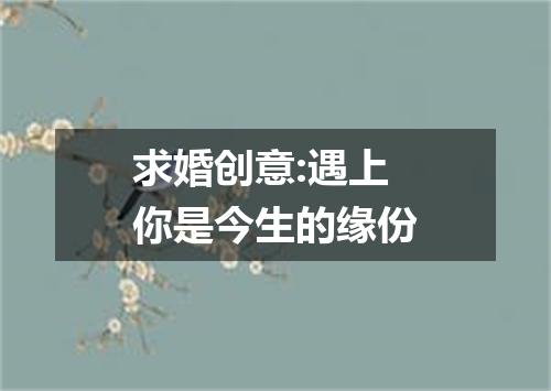 求婚创意:遇上你是今生的缘份