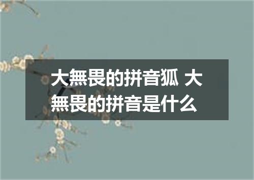 大無畏的拼音狐 大無畏的拼音是什么