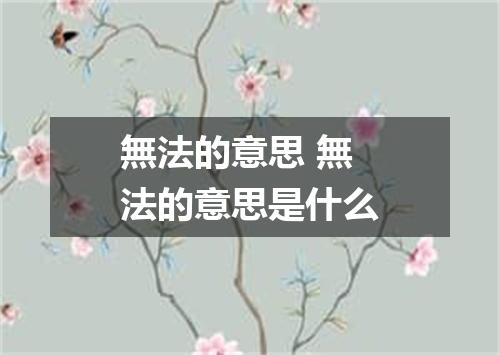 無法的意思 無法的意思是什么