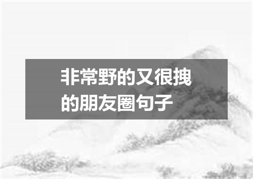 非常野的又很拽的朋友圈句子