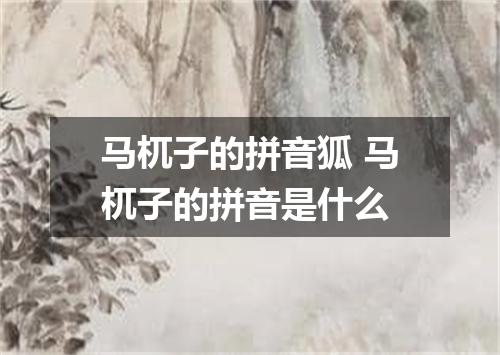 马杌子的拼音狐 马杌子的拼音是什么