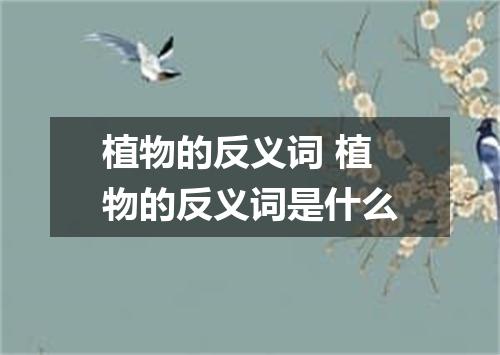 植物的反义词 植物的反义词是什么