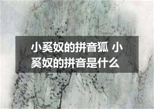 小奚奴的拼音狐 小奚奴的拼音是什么