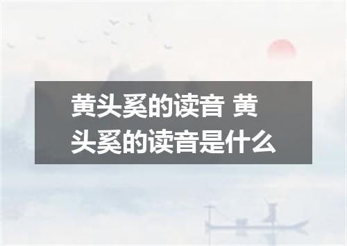 黄头奚的读音 黄头奚的读音是什么