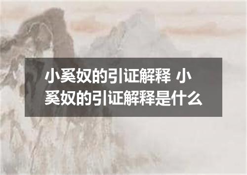 小奚奴的引证解释 小奚奴的引证解释是什么