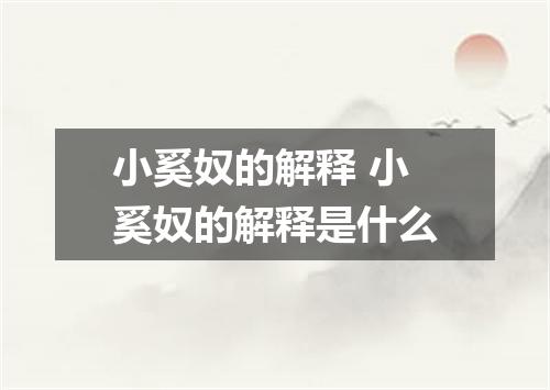 小奚奴的解释 小奚奴的解释是什么