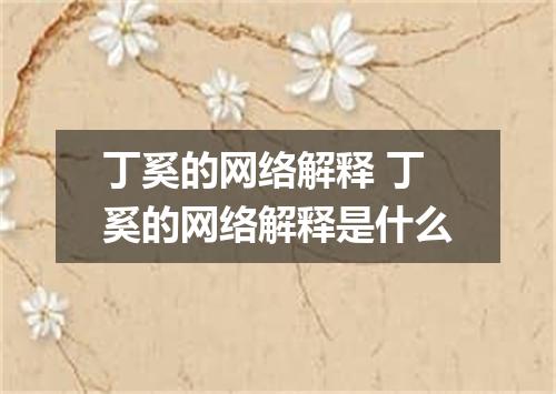 丁奚的网络解释 丁奚的网络解释是什么