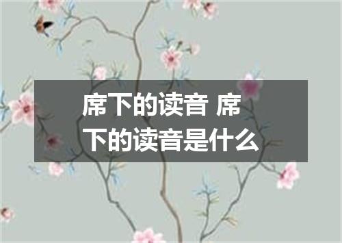 席下的读音 席下的读音是什么