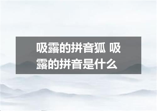 吸露的拼音狐 吸露的拼音是什么