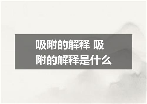 吸附的解释 吸附的解释是什么