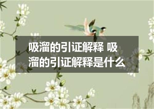 吸溜的引证解释 吸溜的引证解释是什么
