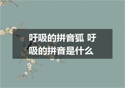 吁吸的拼音狐 吁吸的拼音是什么