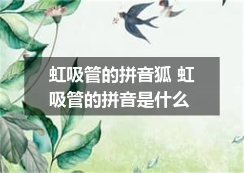 虹吸管的拼音狐 虹吸管的拼音是什么