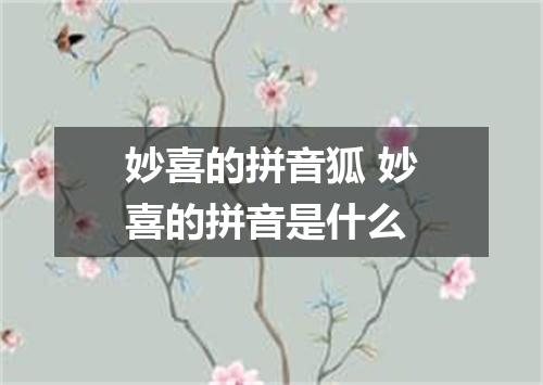妙喜的拼音狐 妙喜的拼音是什么