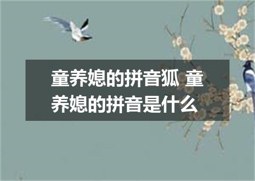 童养媳的拼音狐 童养媳的拼音是什么