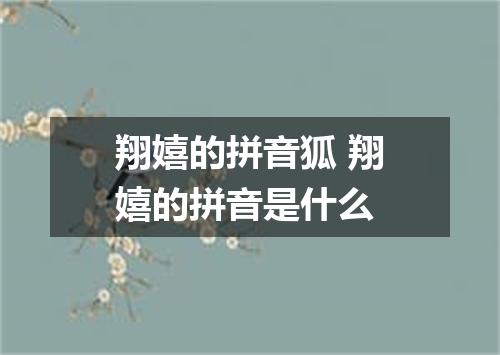 翔嬉的拼音狐 翔嬉的拼音是什么