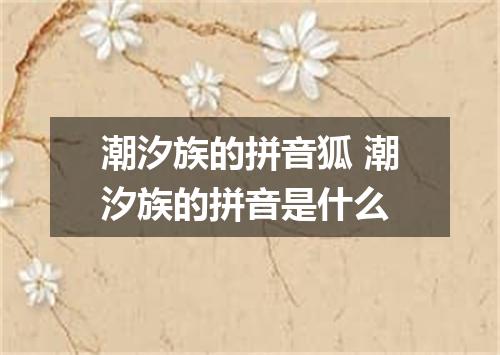 潮汐族的拼音狐 潮汐族的拼音是什么