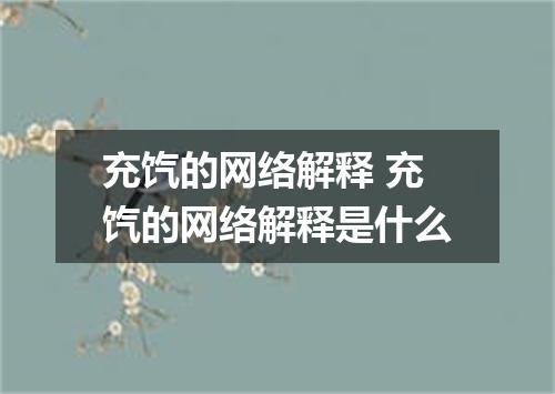 充饩的网络解释 充饩的网络解释是什么