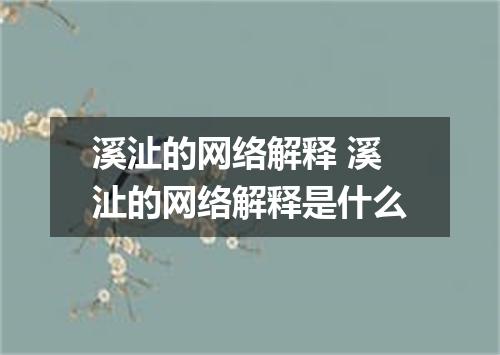 溪沚的网络解释 溪沚的网络解释是什么