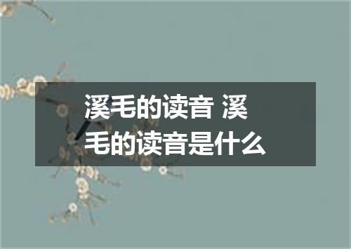 溪毛的读音 溪毛的读音是什么