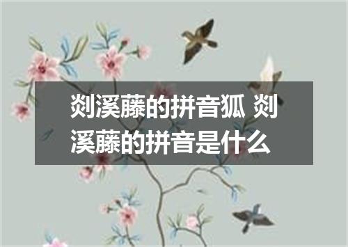 剡溪藤的拼音狐 剡溪藤的拼音是什么