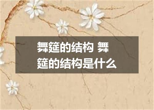 舞筵的结构 舞筵的结构是什么