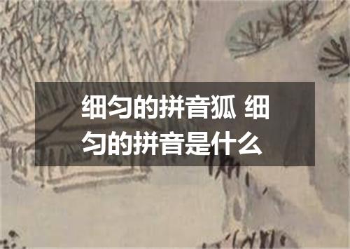细匀的拼音狐 细匀的拼音是什么