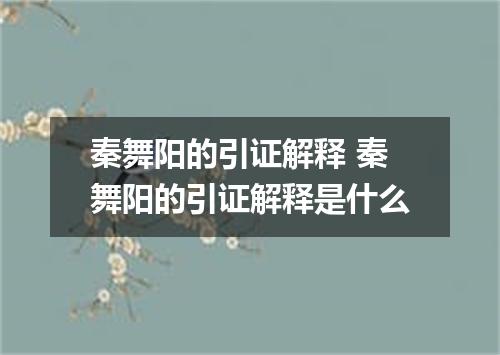 秦舞阳的引证解释 秦舞阳的引证解释是什么