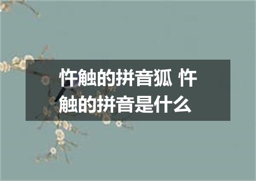 忤触的拼音狐 忤触的拼音是什么