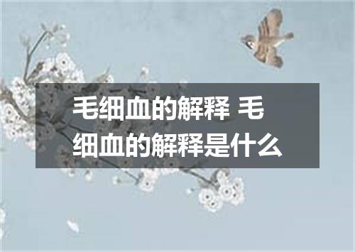 毛细血的解释 毛细血的解释是什么