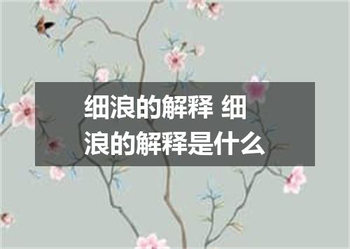 细浪的解释 细浪的解释是什么