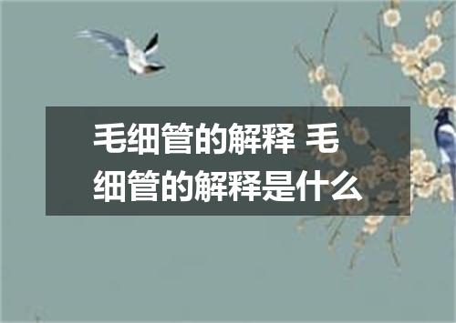 毛细管的解释 毛细管的解释是什么