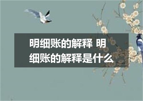 明细账的解释 明细账的解释是什么