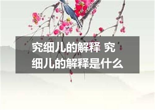 究细儿的解释 究细儿的解释是什么