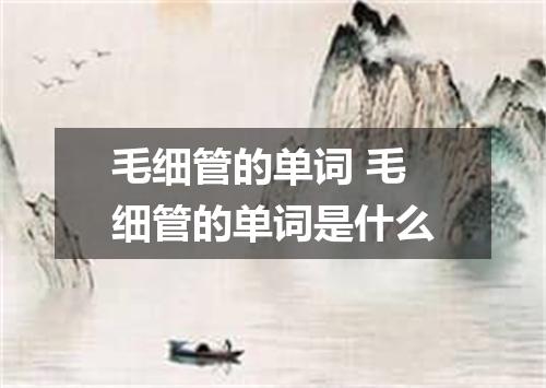 毛细管的单词 毛细管的单词是什么