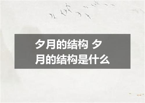 夕月的结构 夕月的结构是什么