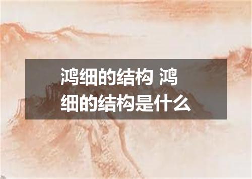 鸿细的结构 鸿细的结构是什么